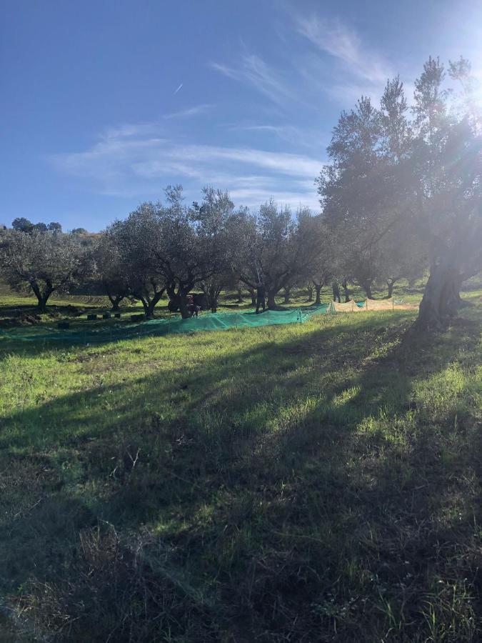 B&B La Casa Di Giuliana Cermignano Eksteriør billede