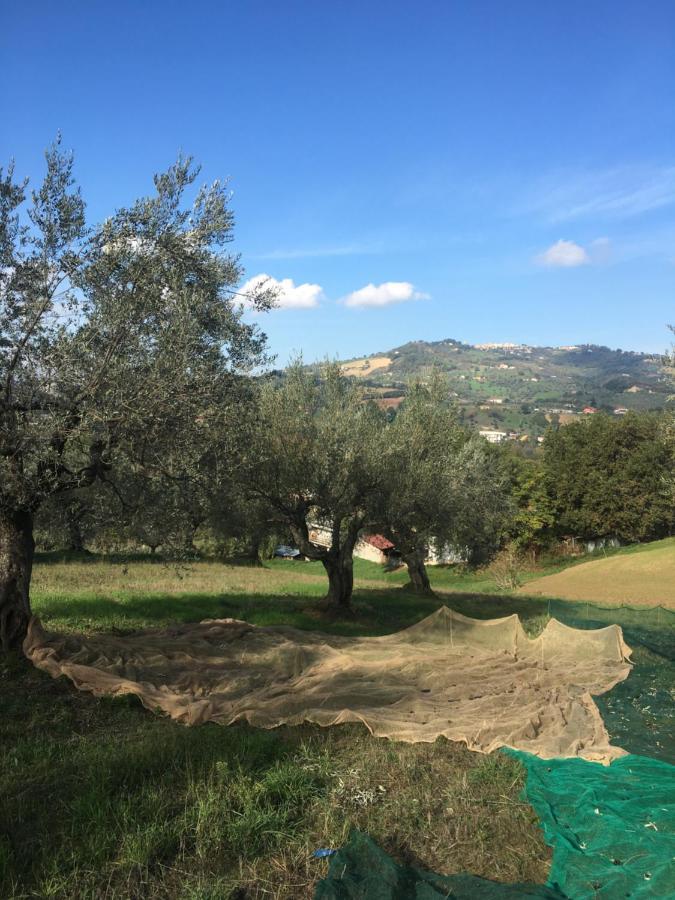 B&B La Casa Di Giuliana Cermignano Eksteriør billede