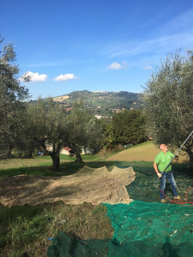 B&B La Casa Di Giuliana Cermignano Eksteriør billede