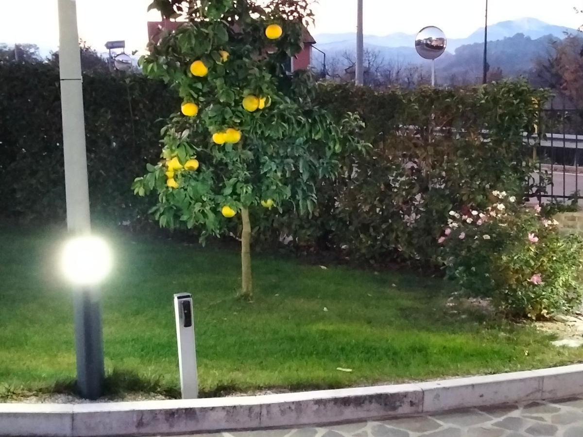 B&B La Casa Di Giuliana Cermignano Eksteriør billede