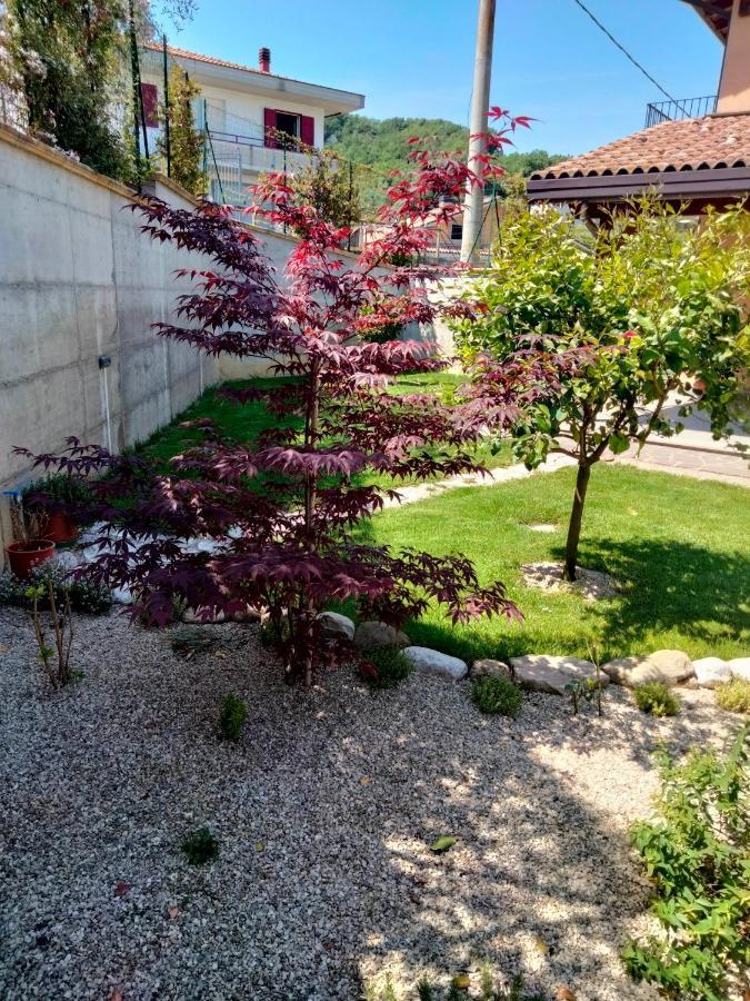B&B La Casa Di Giuliana Cermignano Eksteriør billede