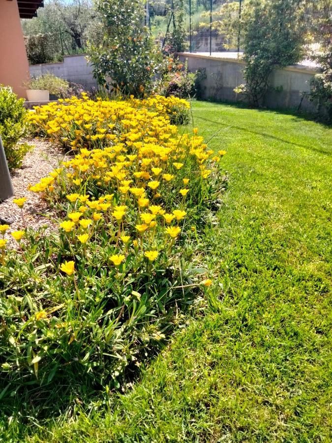 B&B La Casa Di Giuliana Cermignano Eksteriør billede